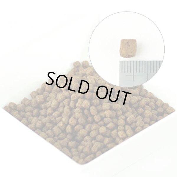 画像2: シシア 子猫用ドライフード　チキン 400g (2)