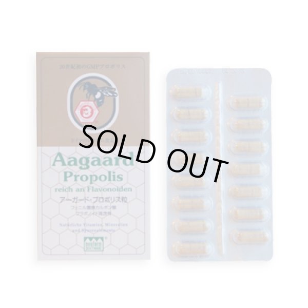 画像1: アーガードプロポリス 45粒 (1)