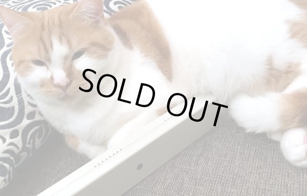 画像2: 電気磁気ユニット【交流磁気☆ペット用ヘルスケア機器】 (2)