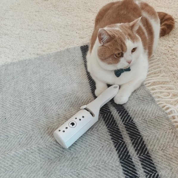 画像8: [猫壱] 抜け毛取りワイパー (8)