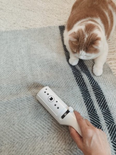 画像7: [猫壱] 抜け毛取りワイパー (7)